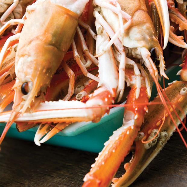 Grillede jomfruhummere med bisque, glaskål og parmesancroutoner 